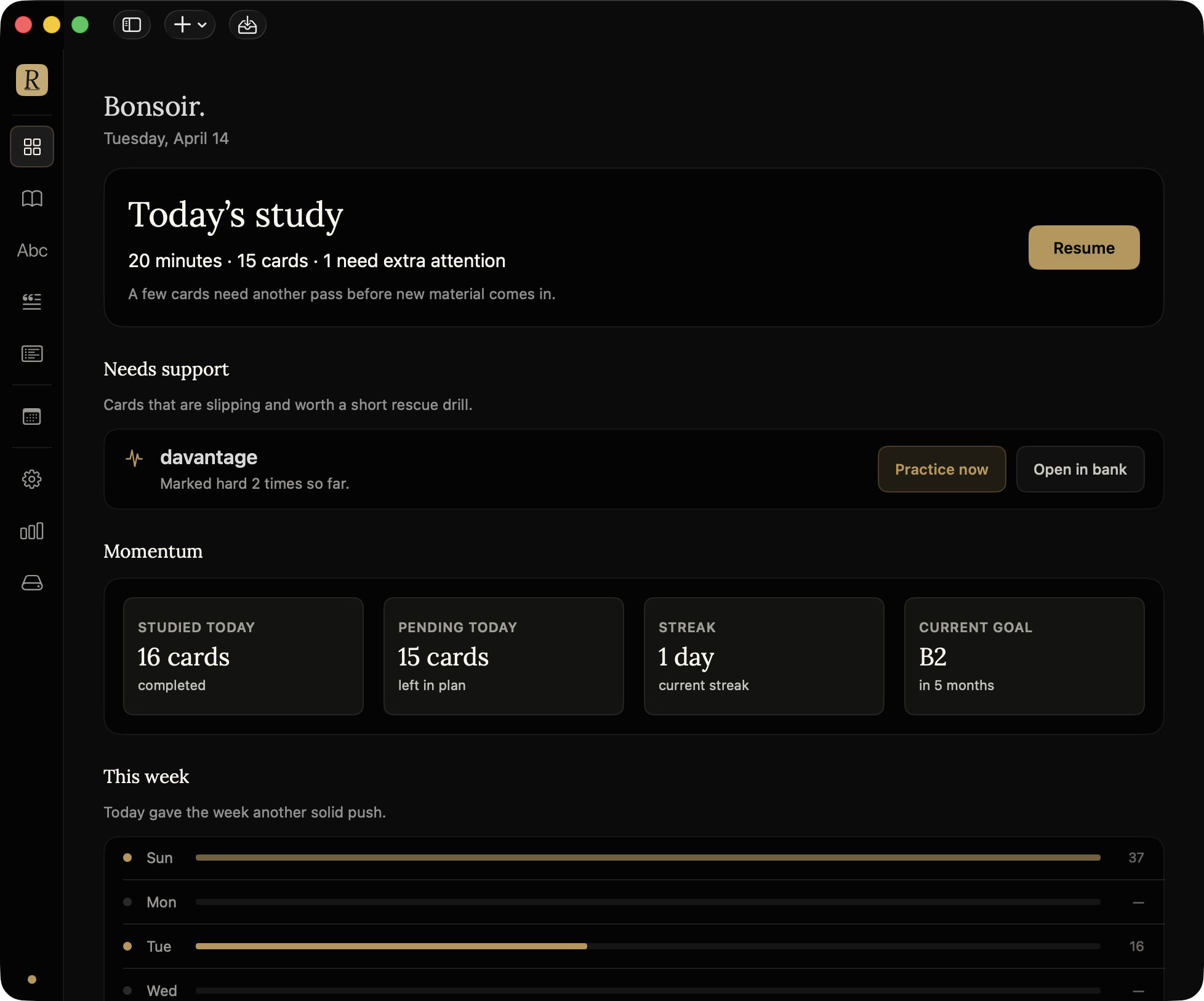 Rivelle Today screen showing a calm study plan, progress cards, and weekly activity.